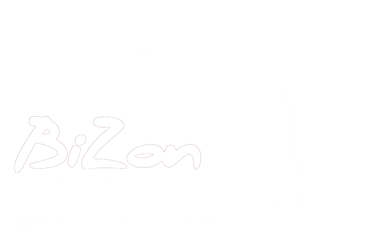 Лого BiZon PLAST
